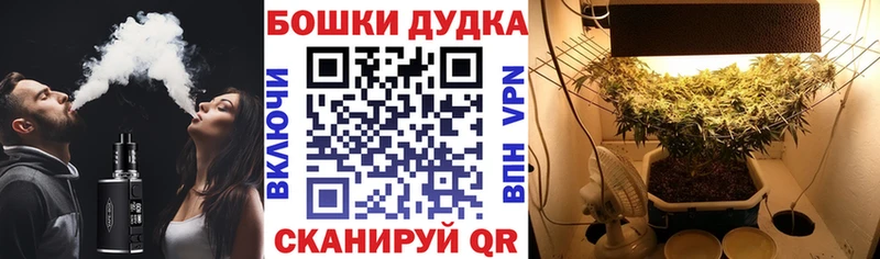 Наркотические вещества Можга Галлюциногенные грибы  Каннабис 