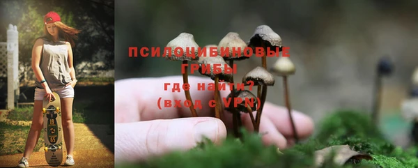 героин Алексин