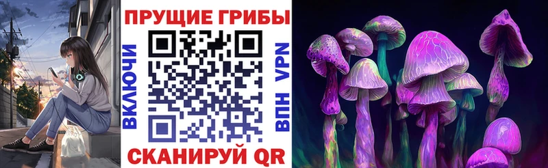 даркнет сайт  Можга  Галлюциногенные грибы Psilocybe 