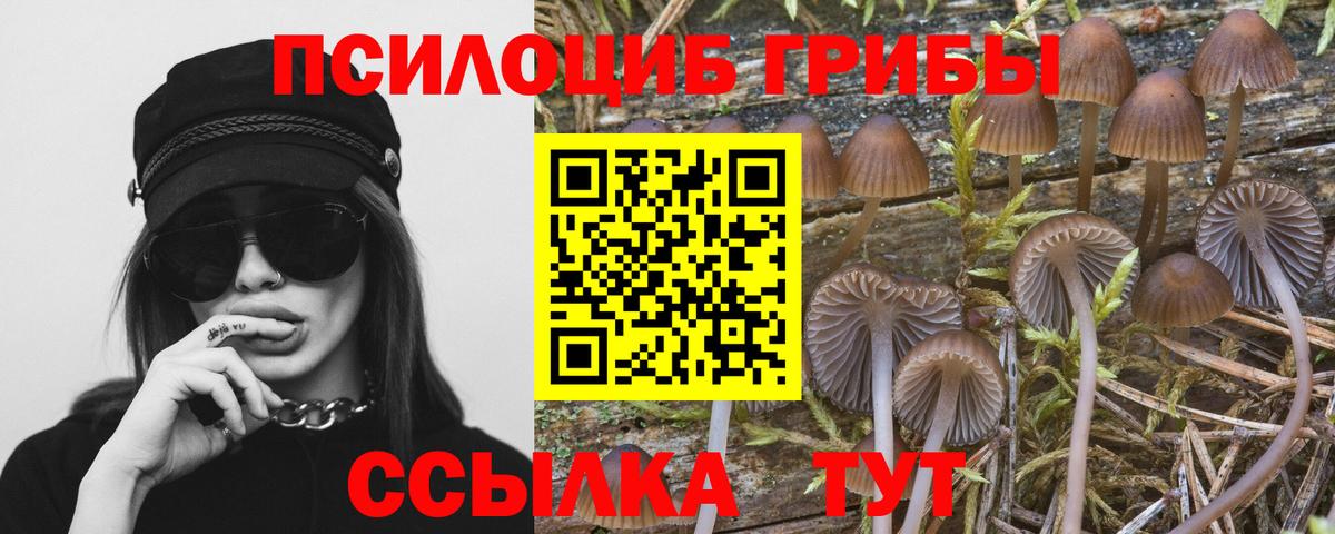 Можга  где купить   Вход с VPN  Галлюциногенные грибы мухоморы 
